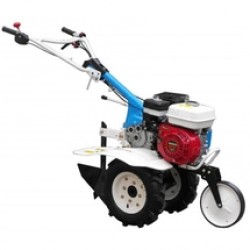 AGT  5580 - Motosapa, Honda, GX 160, 5.5 CP, 800 mm, 3 viteze (2 inainte + 1 inapoi), benzina fara plumb