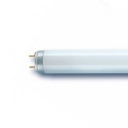 
                                        Neon 36W Osram Smartlux G13 lumina rece 1213.6 mm                                    