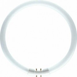 
                                        Neon circular 22W Philips 2GX13 lumina neutra TL5 230 mm                                    