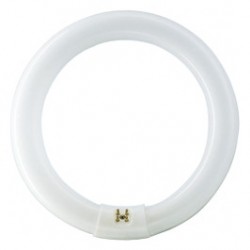 
                                        Neon circular 22W Philips Master TL-E G10q lumina neutra 213.5 mm                                    