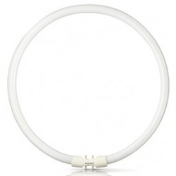 
                                        Neon circular 55W Philips Master 2GX13 lumina neutra TL5 306 mm                                    