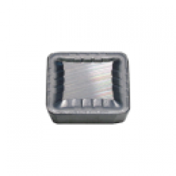  PLACUTE AMOVIBILE PATRATE - SPKR