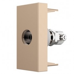 Priza simpla TV Livolo VL-FCTV-1AP, aurie