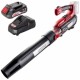 Raider  RDP-BL20 + RDP-R20 - Suflanta de gradina, 570 m3/h + Set 1 acumulator si incarcator, Li-Ion, 20 V, 2 Ah