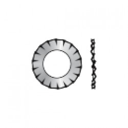  SAIBA ELASTICA CU CRESTATURI EXTERIOARE FORMA 