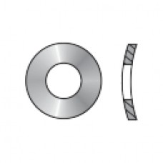  SAIBA ELASTICA FORMA 